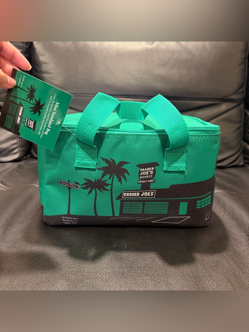 Trader Joe's Green Mini Insulated Lunch Bag Cooler Bag